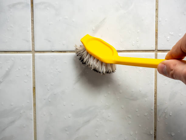 Best Mold Removal Near Me  in Katonah, NY