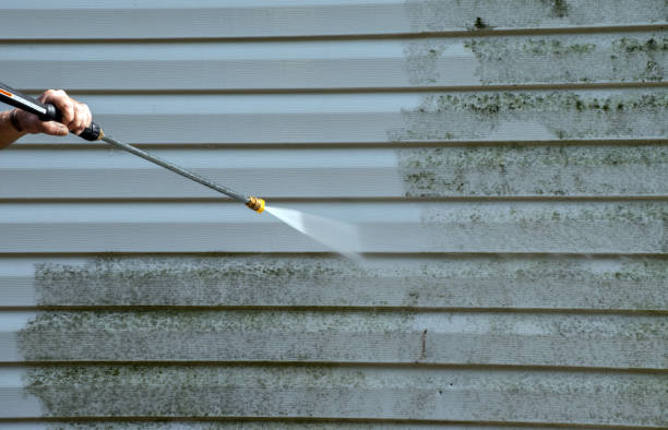 Mold Removal Process in Katonah, NY
