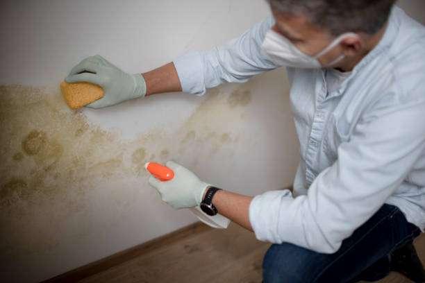 Water Damage Restoration in Katonah, NY