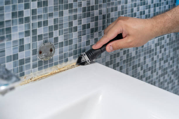 Best Emergency Mold Removal  in Katonah, NY