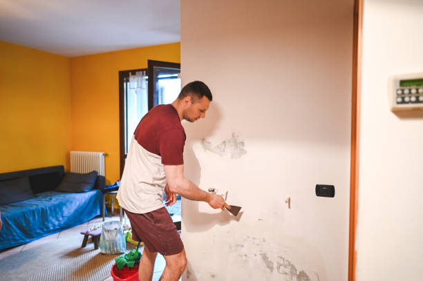 Best Local Mold Removal Service  in Katonah, NY